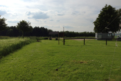 endlich_sonne_8_20130615_1020368436