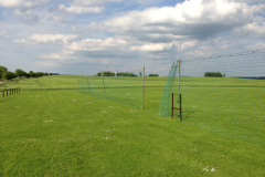 endlich_sonne_9_20130615_1997856421