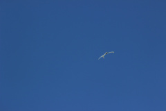 juni_2012_4_20120627_2047211080