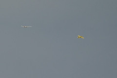 flugschau_19_20120703_1700623328