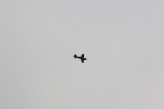 last_days_22_20121119_2042970706