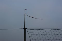 last_days_8_20121119_1899827790