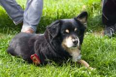 maennertag-2023-_12_20230521_1561673338