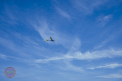 mfv-maerz_1_20240319_1816391590