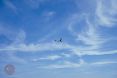 mfv-maerz_3_20240319_1479251964