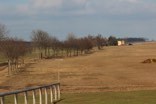 maerz01_4_20150303_1964699001