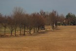 maerz01_6_20150303_1342479348