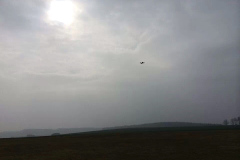 maerz_2014_7_20140308_1798597144