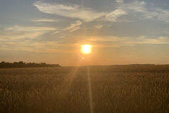 alltag_14_20190618_1171859871