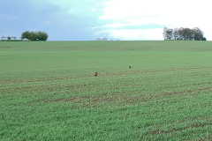 alltag_3_20190618_1984555058