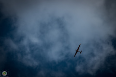 sonntags_4_20210606_1291422502