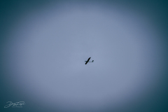 neujahr_3_20220112_2069289051