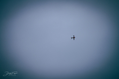 neujahr_7_20220112_1749760190