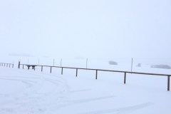 neujahr2015_10_20150101_1390744572