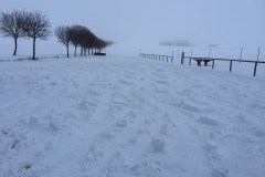 neujahr2015_11_20150101_1489048176