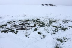 neujahr2015_5_20150101_1075047237