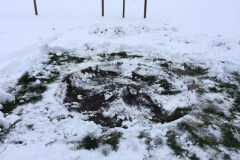 neujahr2015_7_20150101_1323126295
