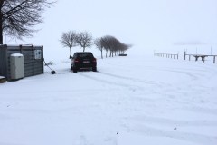 neujahr2015_8_20150101_1439477559