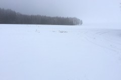 neujahr2015_9_20150101_1656359452