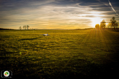 sonnenuntergang_14_20201118_1839393684