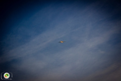 sonnenuntergang_19_20201118_1623493510