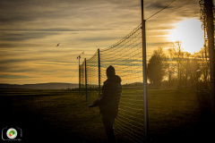 sonnenuntergang_3_20201118_1305559748