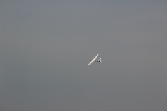 bilder_oktober_24_20131008_2085546182