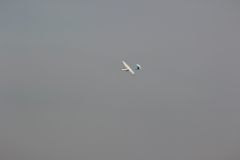 bilder_oktober_25_20131008_1135203975