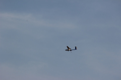 bilder_oktober_4_20131008_1135576552