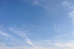 bilder_oktober_51_20131008_1488649059