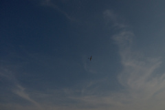 bilder_oktober_52_20131008_2064528785