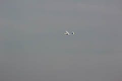 bilder_oktober_6_20131008_1185749017