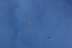 pfingstfliegen2015_17_20150525_1146867472