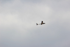 pfingstfliegen2015_3_20150525_1208034553