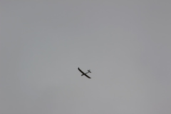pfingstfliegen2015_40_20150525_1931572253