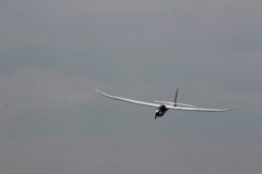 pfingstfliegen2015_4_20150525_1925735174