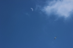 pfingstfliegen2015_54_20150525_1761708776