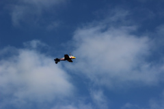 pfingstfliegen2015_55_20150525_1776047184