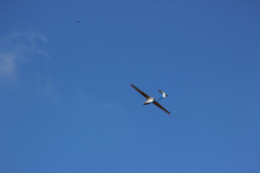 pfingstfliegen2015_61_20150525_1588482591