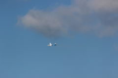 pfingstfliegen2015_62_20150525_1066067064