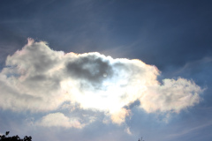 pfingstfliegen2015_80_20150525_1468563779