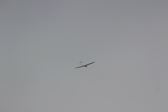 pfingstfliegen2015_9_20150525_1943861460