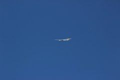 pfingsten2013_16_20130520_1000650385