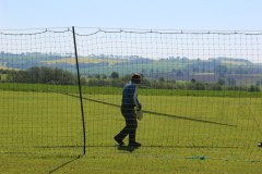 pfingsten2013_3_20130520_2037655832