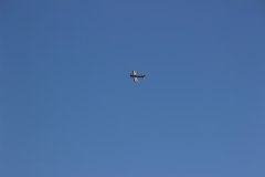 pfingsten2013_56_20130520_1502275842