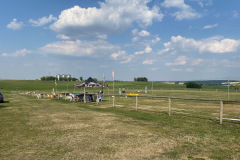 pilo-august2020_8_20200809_1328247576