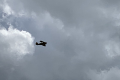 prowing-2019_78_20190504_1558123040