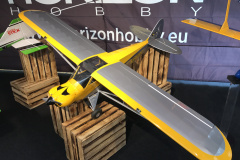 1_prowing2017_32_20170502_1414238519