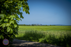 retro-samstag-_1_20230527_1979167224