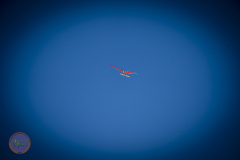 retro-samstag-_40_20230527_1972674291